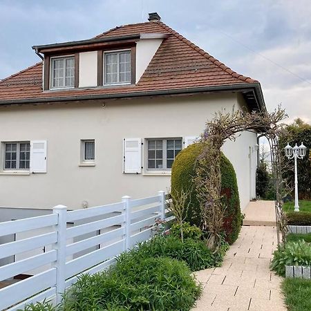Le Papillon,Logement Cosy En Alsace Erstein Ngoại thất bức ảnh