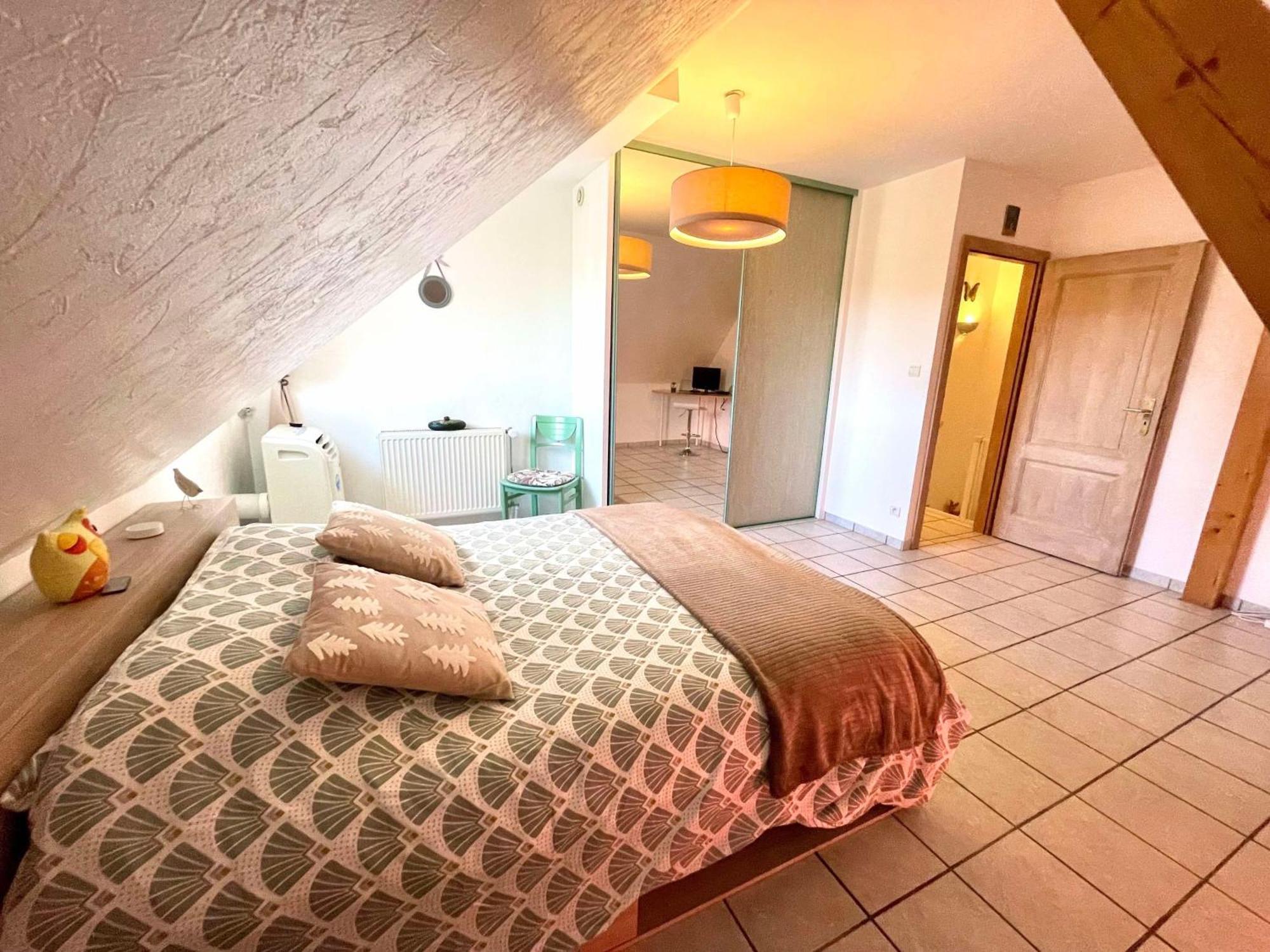 Le Papillon,Logement Cosy En Alsace Erstein Ngoại thất bức ảnh